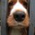 Suzanne Lorraine's profile image