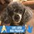 Sherri Woodruff's profile image