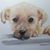 Tamika Ramey Perrymon's profile image