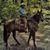 Rufus Rc Daniel Jr's profile image