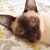 Susan Mandel's profile image