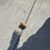 Terri L Betz's profile image