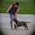 Paulina Gamez's profile image