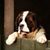 Lauren Bray's profile image