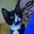 Amanda Mattern's profile image