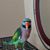 Judy L Todd's profile image