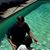 Dee Engelstad- La Rocque's profile image
