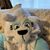 Nanne Wright's profile image