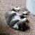 Trina Hare's profile image