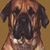 James Allan's profile image
