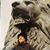 Saraj Cory's profile image