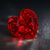 Pravin Shah's profile image