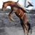 Juan Rios's profile image