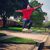 Mikey Whittiker's profile image