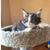 Janet Pelzel Martin's profile image
