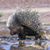 Yancey O Devoy's profile image