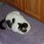 Terre Morgan's profile image