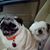 Kathy Janes's profile image