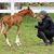 Cheryl Lane-Caron's profile image