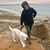 Laurel Barraco's profile image