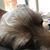 Rustin Sorat's profile image
