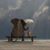 Connie Policriti's profile image