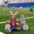 Donna Marcum Verville's profile image