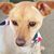 Debbie Kelley's profile image