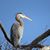 Nathan Hamilton's profile image