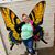 Samantha Nicholson's profile image