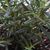 Mary L Schneider's profile image
