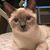 Dawn Brewer's profile image