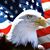 Joseph Blazina Jr.'s profile image