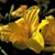 Marguerite McGrath's profile image