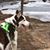 Alicia Vincent's profile image
