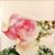 Farrin Forsberg's profile image