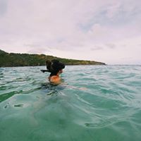 Rachel Nguyen's profile image