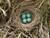 destiny d.'s profile image