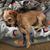 Arlyn Marler's profile image