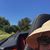 Diane Toomey's profile image
