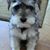 Terri Jacobsen Wenner's profile image