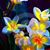Gina Bernard's profile image