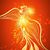 Tina Willemain's profile image
