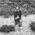 Zaher Bizri's profile image