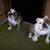 Linda Van Reed's profile image