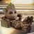 Anthony Oliva's profile image