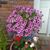 Rim Coloquio Kostic's profile image