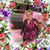 Cheyrl Brooks Clement's profile image