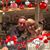 Jaci Shamer Goldhammer's profile image