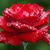 Fatima Richardson's profile image